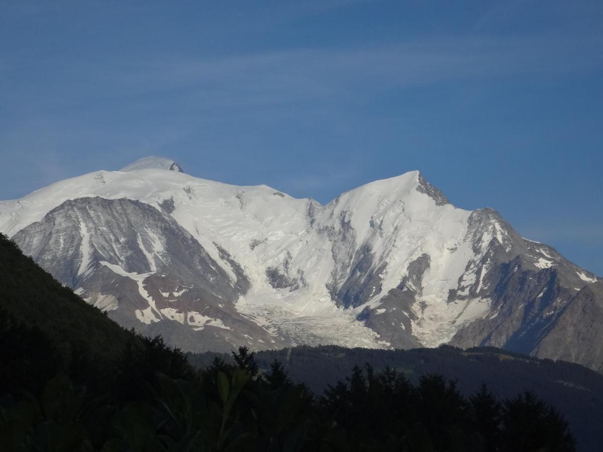 Mont Blanc Holidays Dans Residence Avec Gardien Σαλάνς Εξωτερικό φωτογραφία